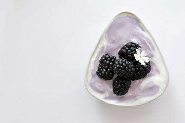 Blackberries with yogurt in a ceramic bowl on white background