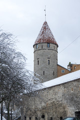 Fototapeta na wymiar Old town of Tallinn