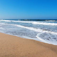 California beaches near Los Angeles city with a clear blue sky and yellow sand on the coast