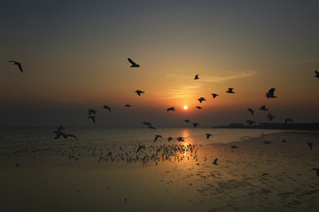 Obraz na płótnie Canvas Beautiful sunset and flying birds over the sea surface
