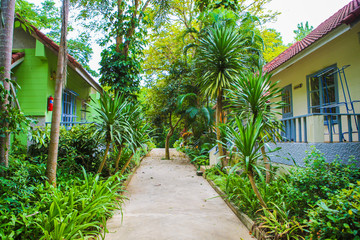 garden walkway