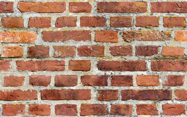 An Eagle in flight with pray duck in its claws.