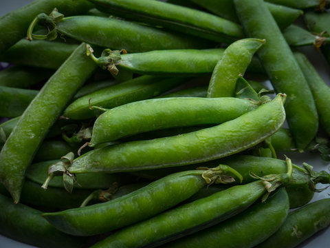 Pea pods - food background. Selective focus.