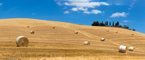 Tuscan Fields