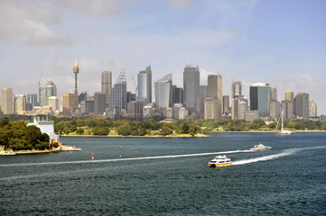 A View of Sydney Harbor from the Ship, Australia