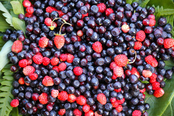 Forest berries lying on green leaves, close up.