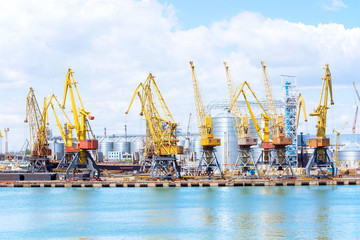 Fototapeta na wymiar Cargo container terminal of sea freight industrial port. Port cargo cranes over blue sky background. Large grain elevator in the sea port.