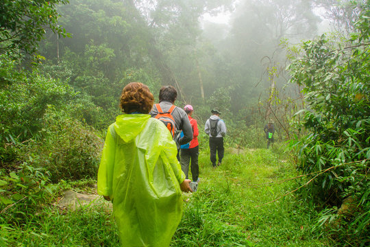 group of hiking in forest with raining.