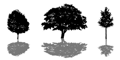 Tree silhouette icon set with shadow. vector illustration eps
