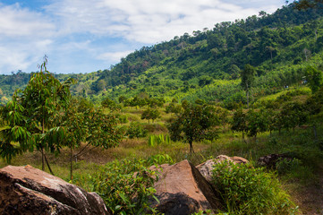 Beautiful Natural View at Khlong Yai, Thailand.