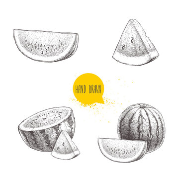 How to draw a watermelon | MediBang Paint - the free digital painting and  manga creation software
