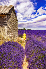 Fototapeta na wymiar Woman in lavender field