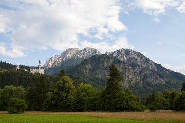 Naklejka premium Neuschwanstein Castle