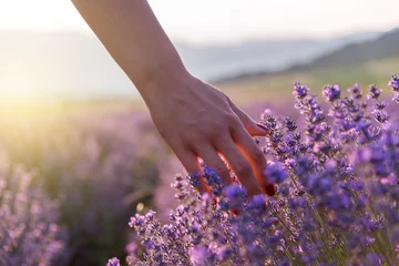 Deurstickers De lavendel aanraken © Grigor