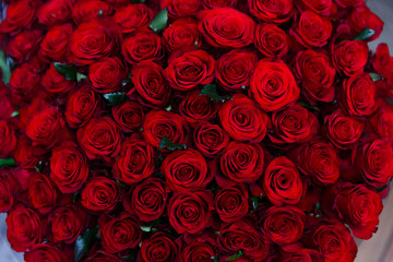 Buttons of beautiful red roses