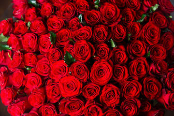 Beautiful red roses, floral texture