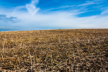 Landschaft Bergisches Land