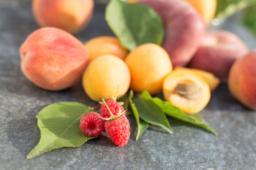 Apricot fruits, nectarine, peach and raspberries and green leaves