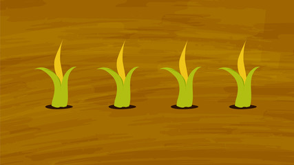 Corn growing in the farming field Vector. Agriculture and Farming. Agrotourism. Agribusiness. elements for info graphic, websites and print media