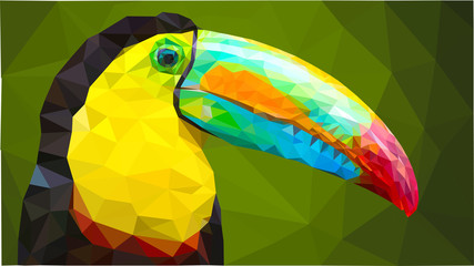 Polyart toucan © Arshla