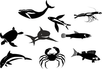 Monochrome color Marine life vector set