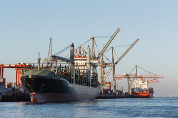 Naklejka premium Cargo ships in port being loaded