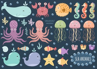 Fototapeta premium Vector set of cute sea animals. Underwater isolated elements. Great for baby shower and kids design. Whale, octopus, crab, jellyfish, globefish, seahorse and others