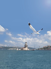 Fototapeta na wymiar Maiden's Tower (Kiz Kulesi). Istanbul, Turkey