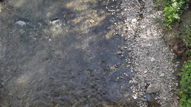 Mountain River with Stones with Transparent Water