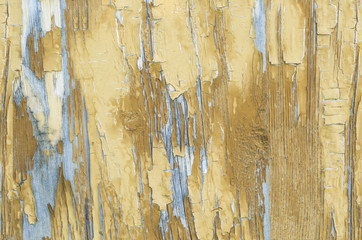 Old wooden board with traces of paint. Backgrounds and textures