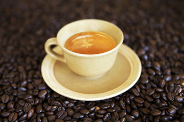 Coffee cup on coffee beans