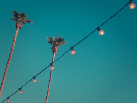 Retro Style Tall Palms at Sunset with Lights and Copy Space