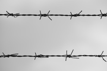 Monochrome: Fence in horizontal composition