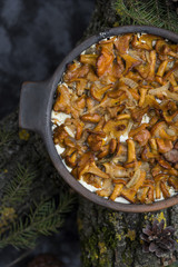 chanterelles baked in sour cream