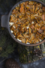 chanterelles baked in sour cream