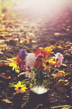 Bunch of colorful autumn flowers in sunbeams
