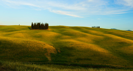Fototapeta premium Tuscany is a beautiful, very photogenic landscape in central Italy
