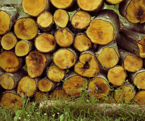 Natural wooden background, closeup of chopped firewood.