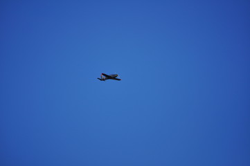 Fototapeta premium small plane