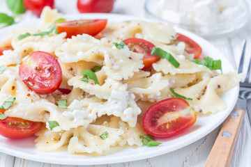 Pasta salad with tie pasta, feta cheese, tomatoes, mustard and basil, horizontal