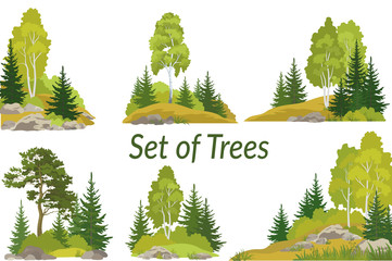 Set Summer and Autumn Landscapes, Isolated on White Background Coniferous and Deciduous Trees and Grass on the Rocks. Vector
