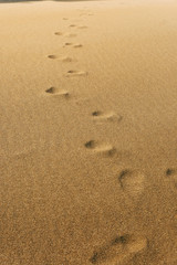 Fototapeta na wymiar Footprints In The Sand Summer Beach Discovery Concept