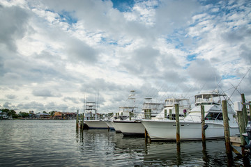 Fototapeta premium Charter boats at marina
