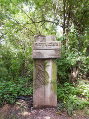 UK woodland carved sign post for notices