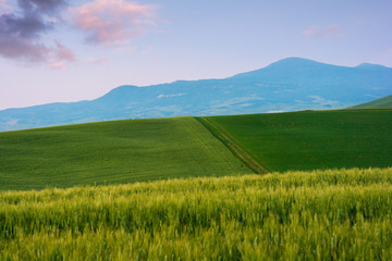 Beautiful summer landscape in Tuscany