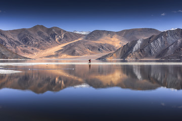 Reflection of Mountains on Pangong Lake with blue sky background. Leh, Ladakh, India.
 - obrazy, fototapety, plakaty