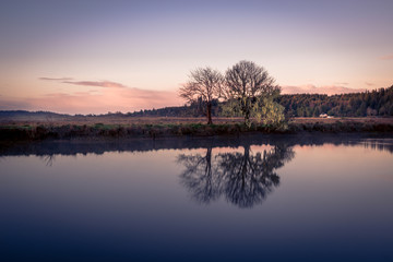 Obraz premium Colorful landscape of the Coquille River Valley in Southern Oregon, USA 