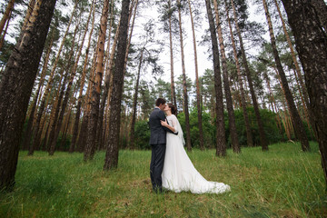 Just married loving couple in wedding dress and suit  in a forest. happy bride and groom walking and kissing 