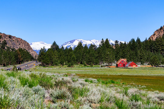 Red Structures in green meadow