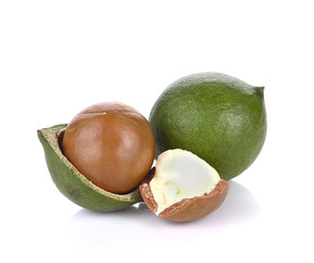macadamia nuts on white background